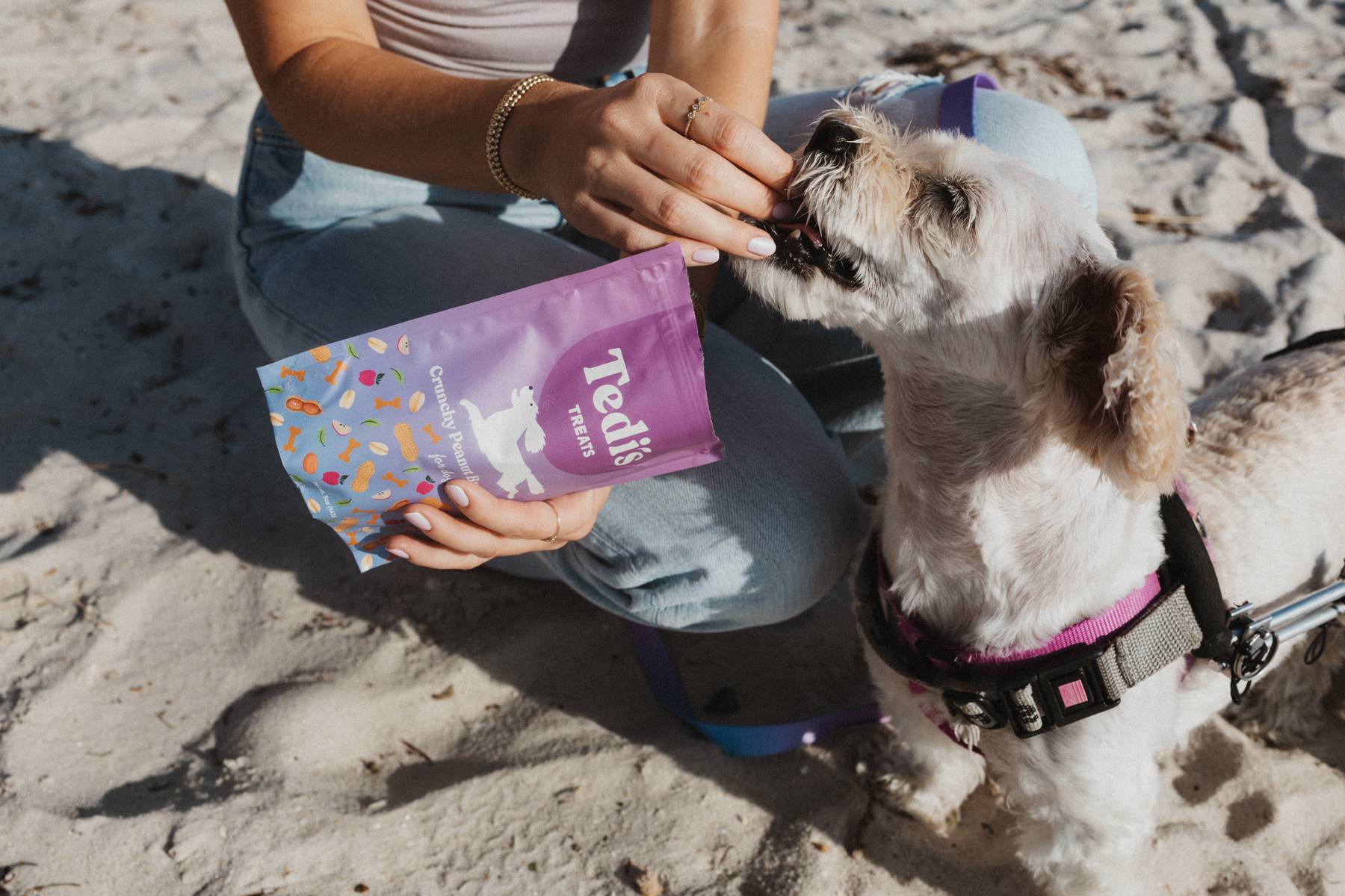 How to Choose the Best Treats for Dogs with Food Allergies