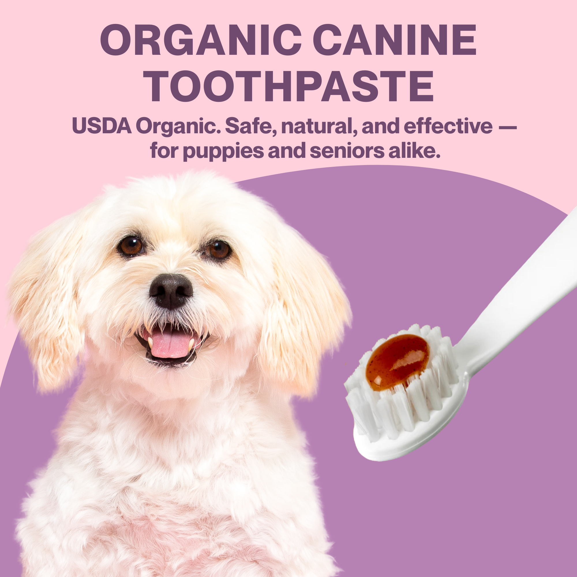 USDA Organic Canine Toothpaste