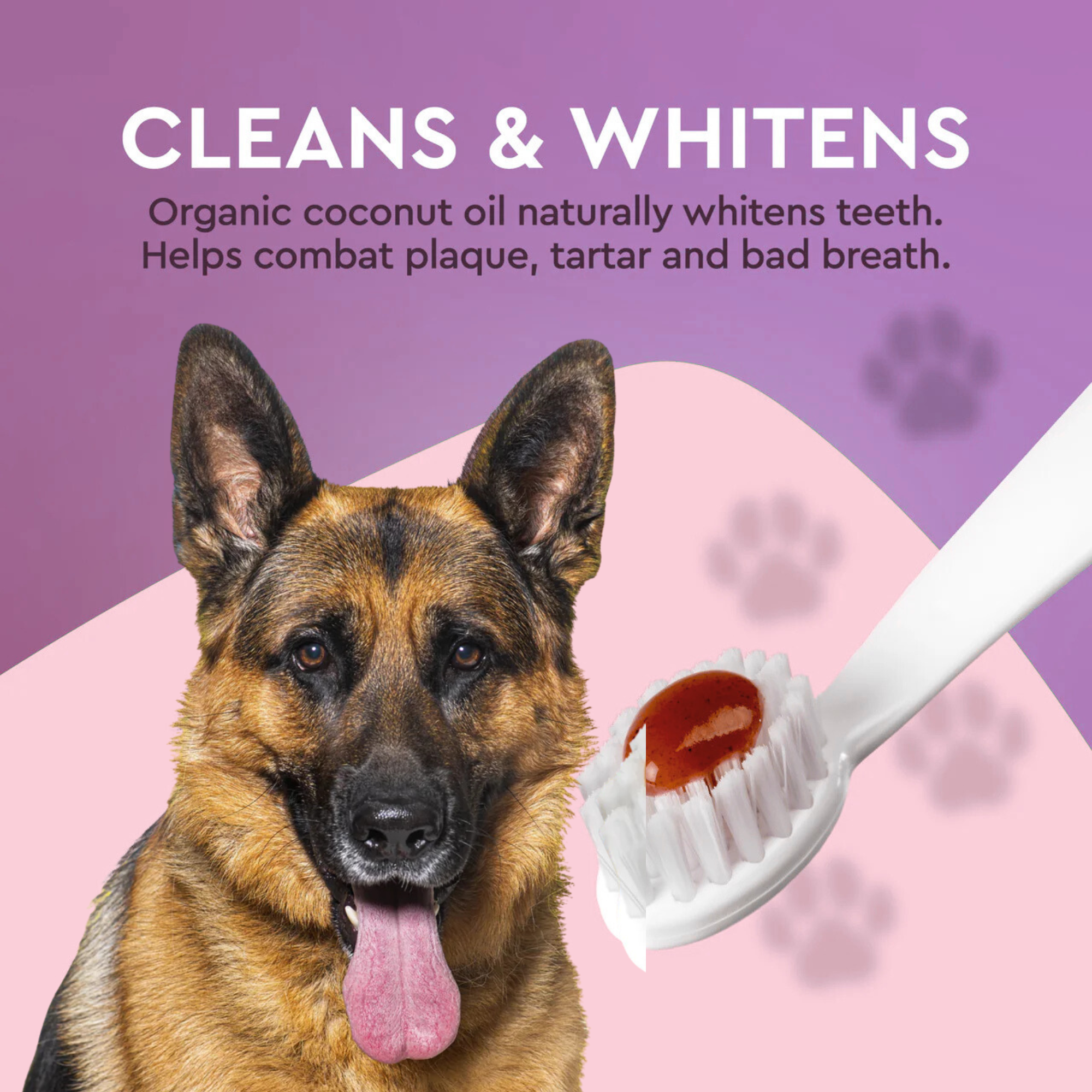 USDA Organic Canine Toothpaste