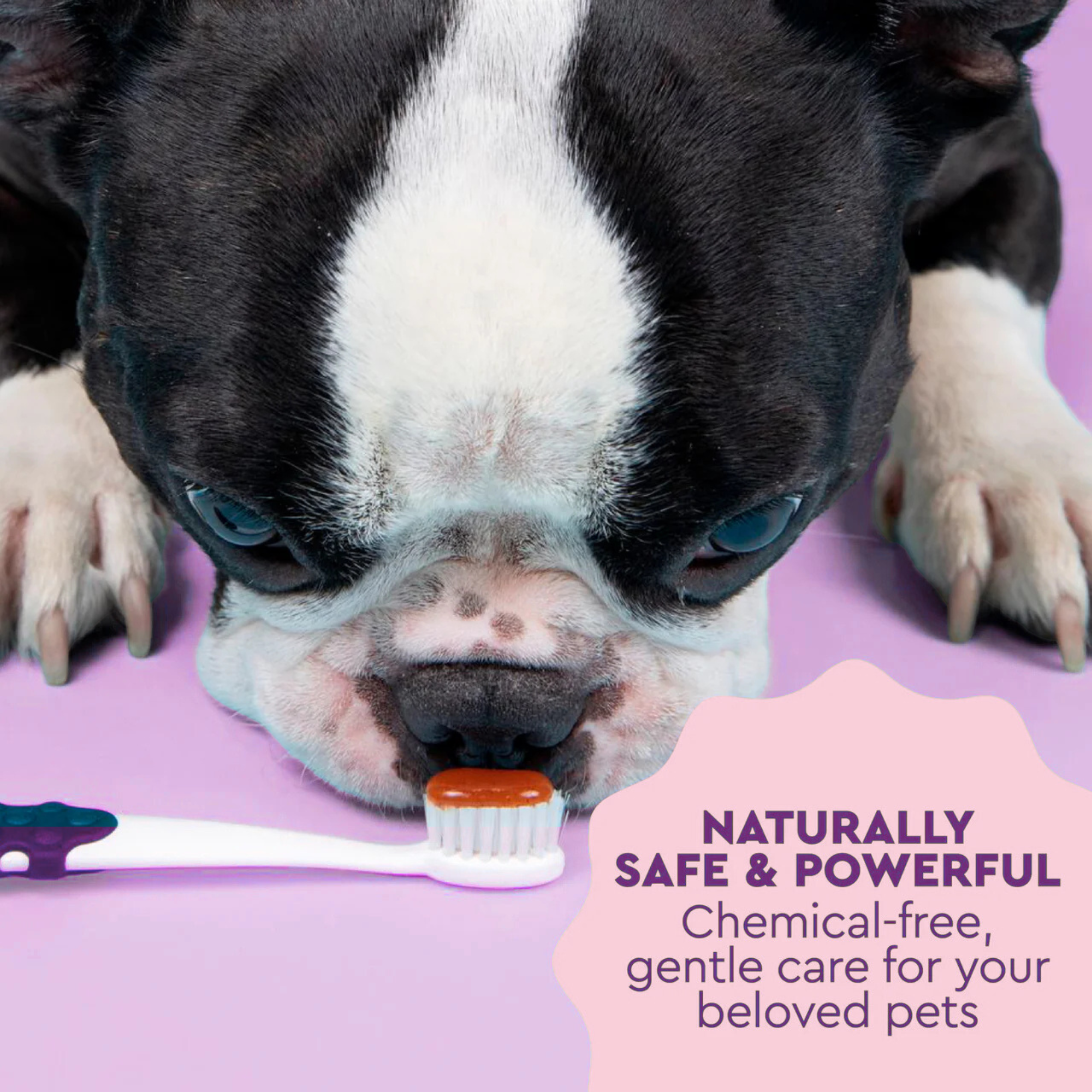 USDA Organic Canine Toothpaste
