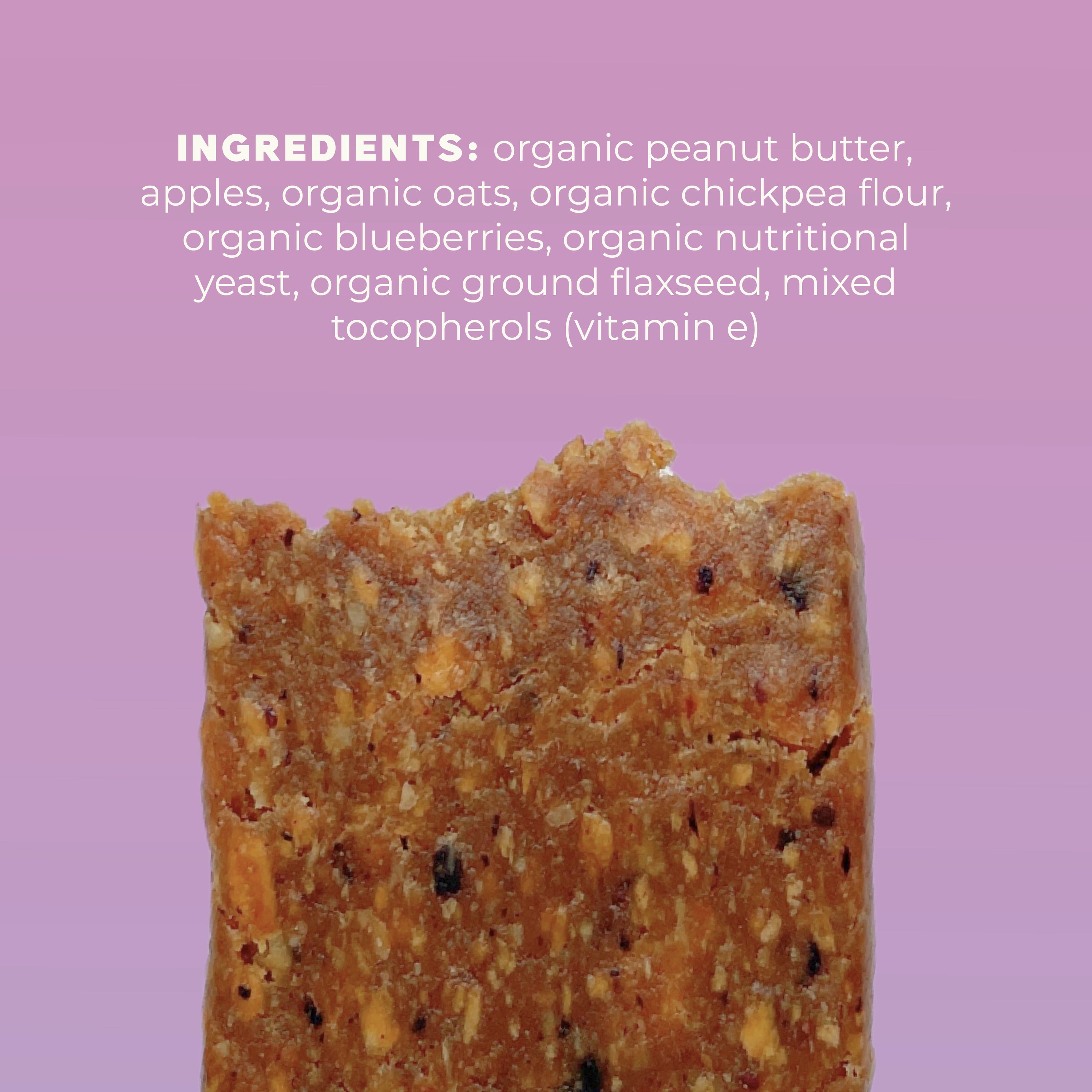 Blueberry & Oat Snack Bars