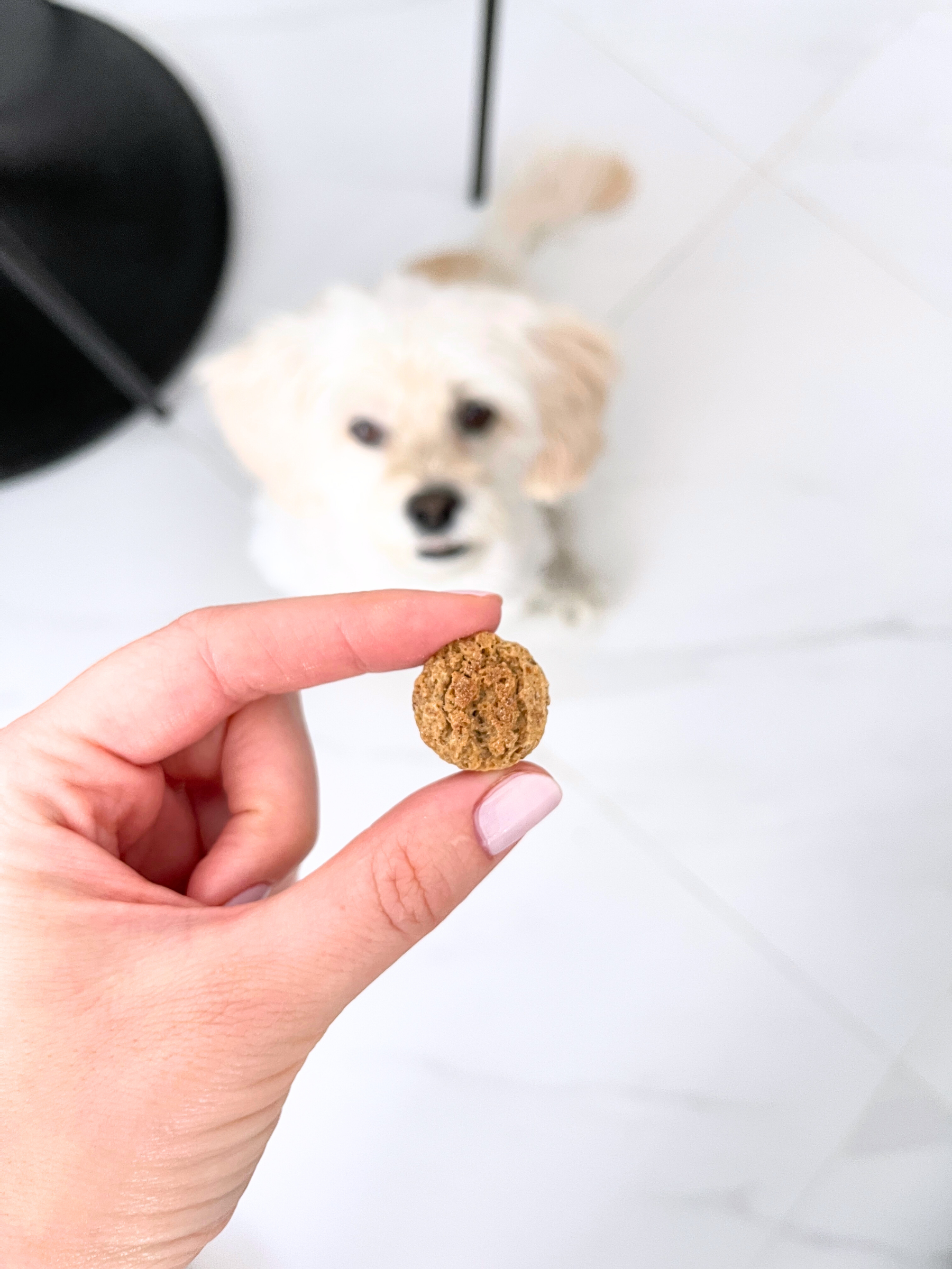 Crunchy Peanut Butter Bites (TOY DRIVE)