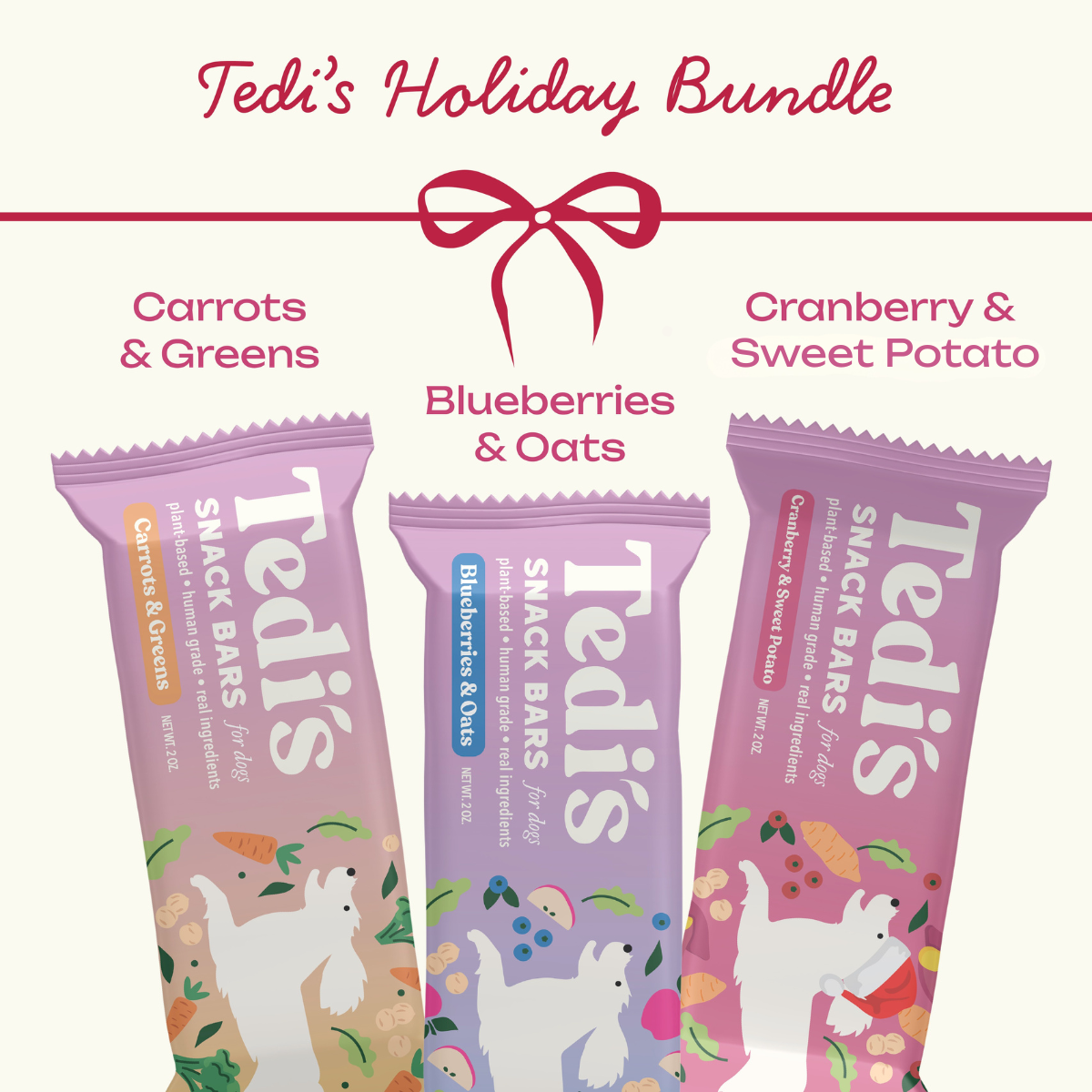 Snack Bar Variety Pack